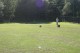 Thumbs/tn_Bild 057.jpg